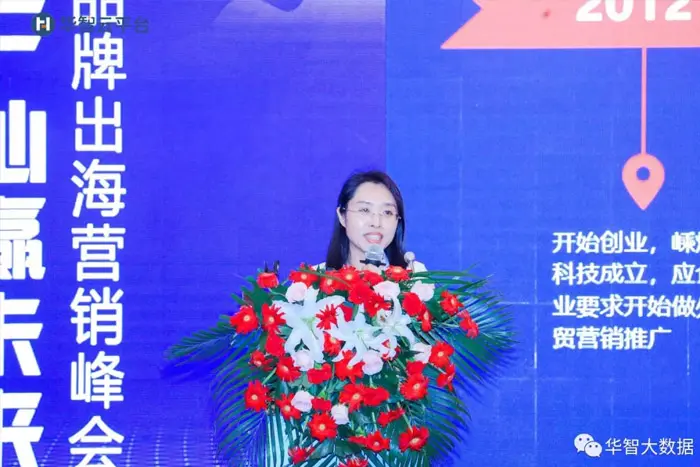 华智大数据创始人——邓世娟