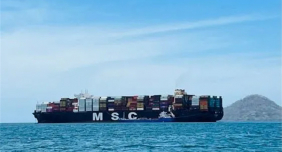 上半年山东外贸进出口创历史新高，贡献全国近20%的增量！