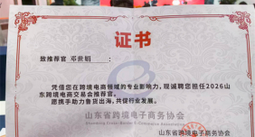 华智大数据