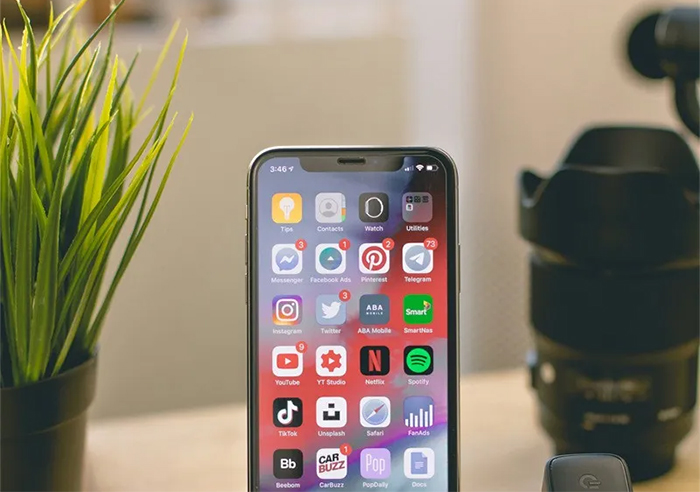 2024年TikTok发展前景分析