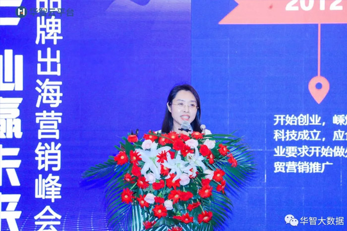 华智大数据创始人——邓世娟