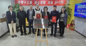 华智大数据