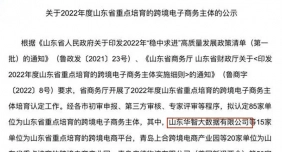 山东华智大数据荣膺山东省重点培育跨境电商平台，助力外贸创新发展